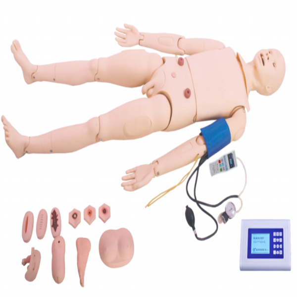 高級（jí）成人護理（lǐ）模型