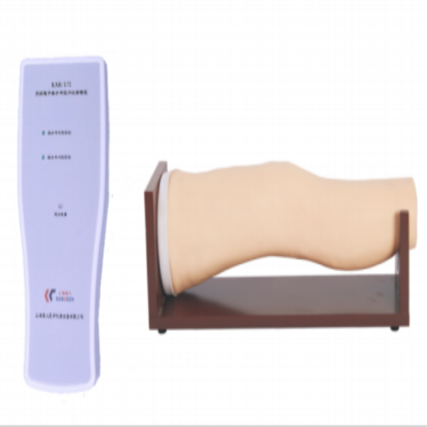 膝關（guān）節腔內注射模型