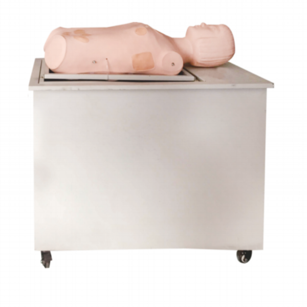 全自動多（duō）種穿刺叩診電腦訓練模型