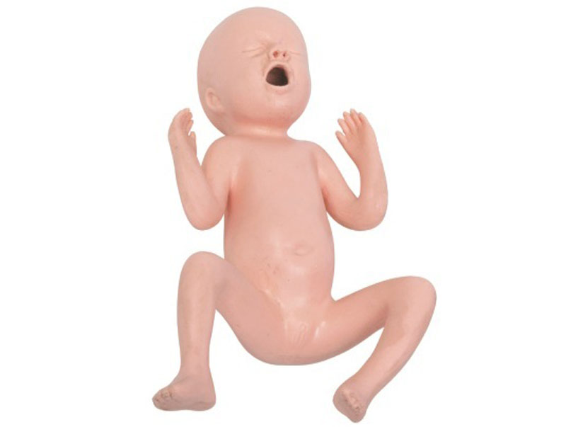 高（gāo）級30周早產兒模型