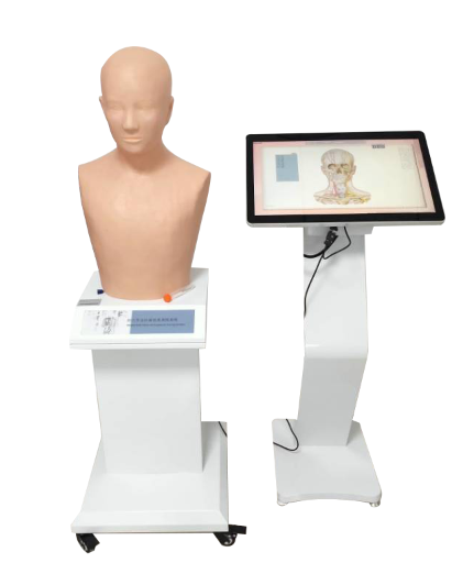 經穴學及針刺仿真訓練係統