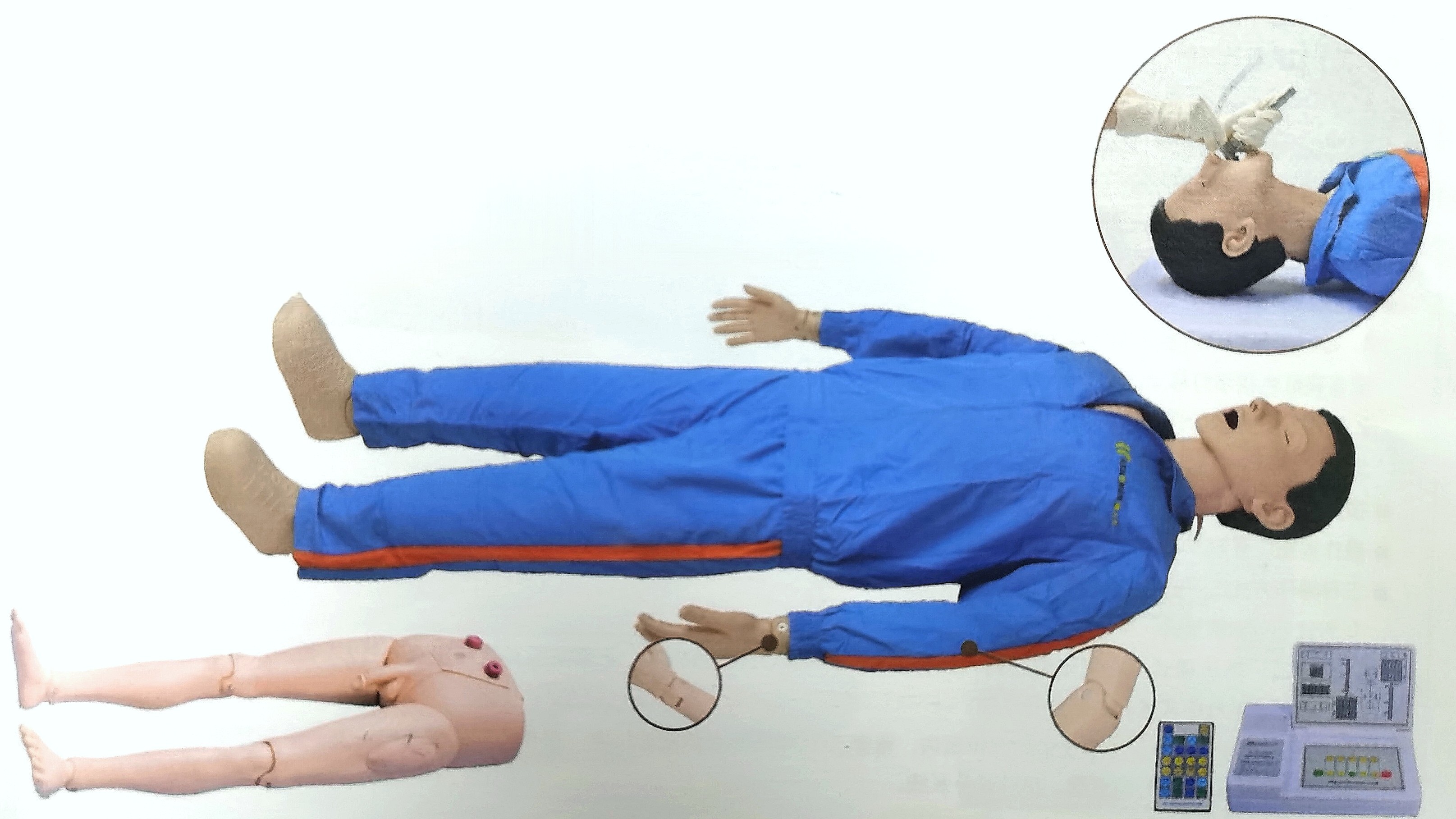 高級心肺複蘇（sū）及氣管插管模擬人