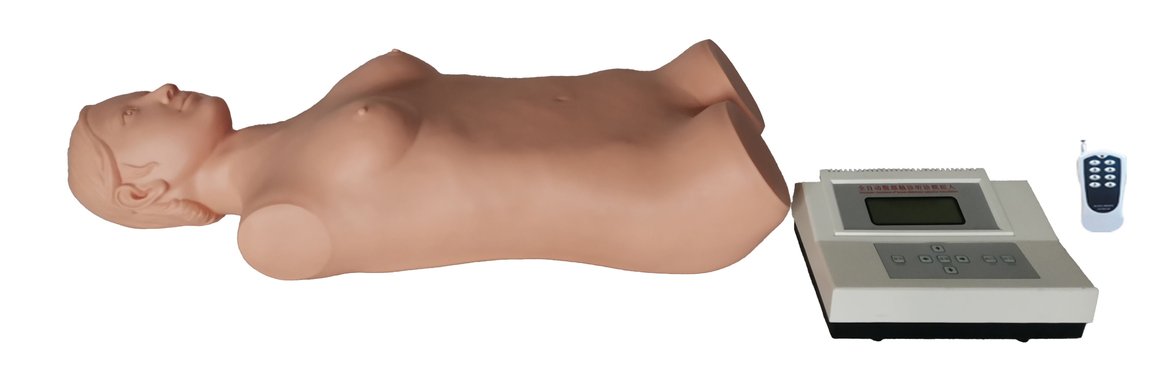 數字遙（yáo）控（kòng）式腹部觸診（zhěn）模擬（nǐ）人（單機版）