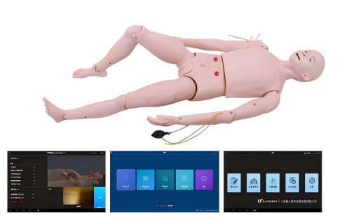 高級成人護理及CPR模型人（軟件版）