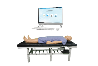 全身穴與針灸實結合訓練係統