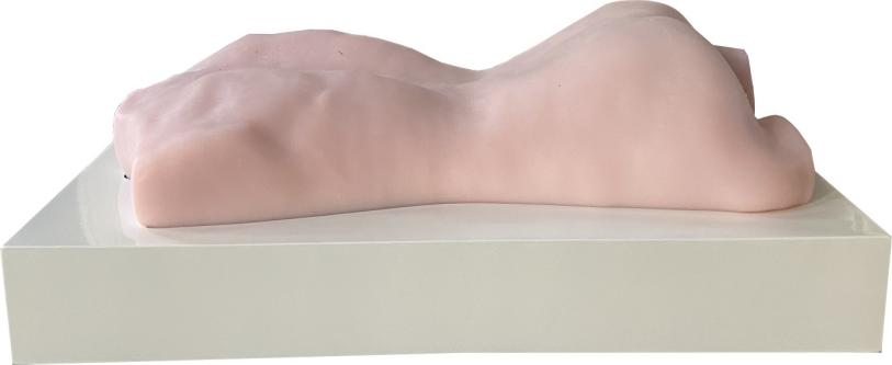 中（zhōng）醫智能拔罐、刮痧（shā）、推拿、針刺（cì）練習模型（xíng）（台式）