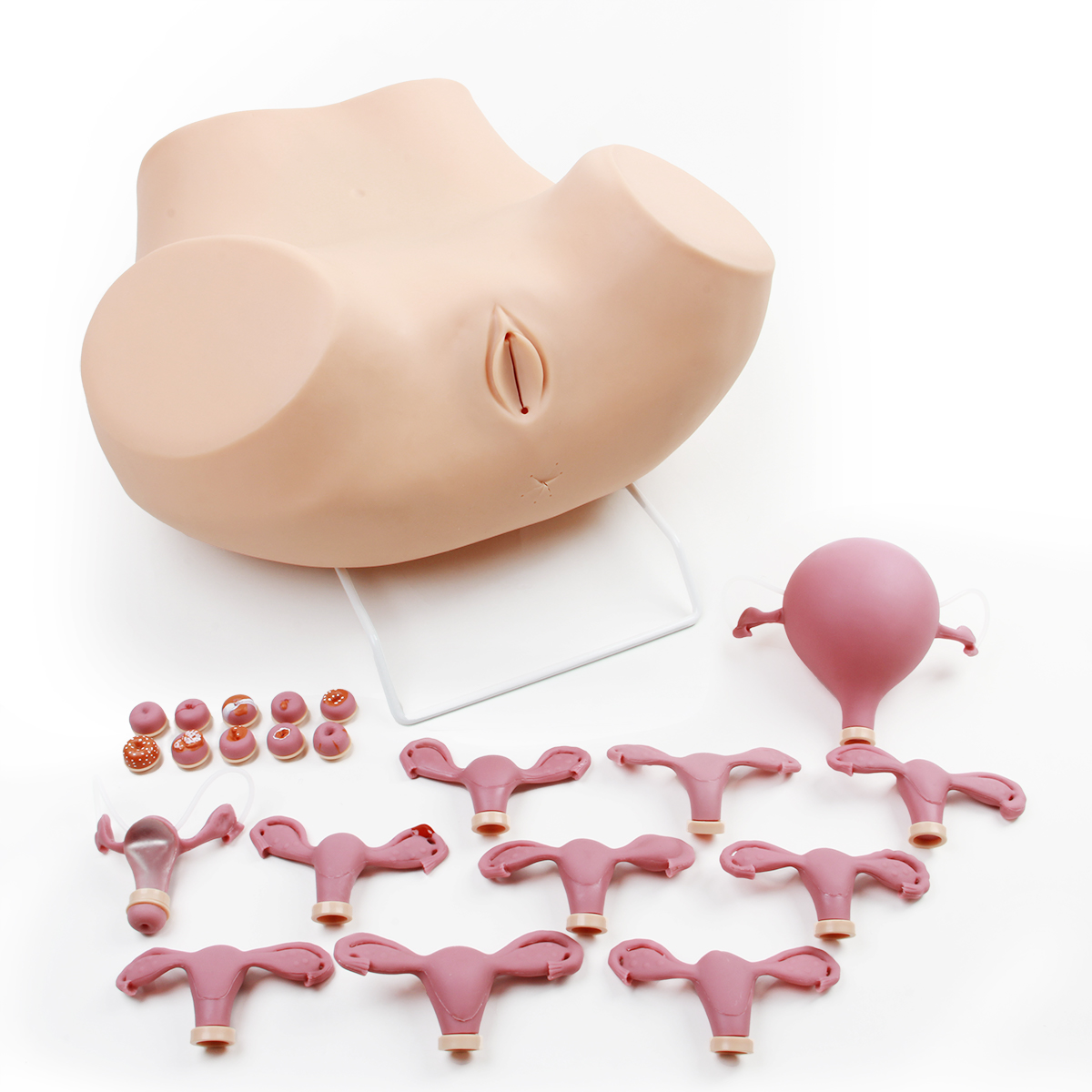 高級婦科檢查（chá）模型（xíng）