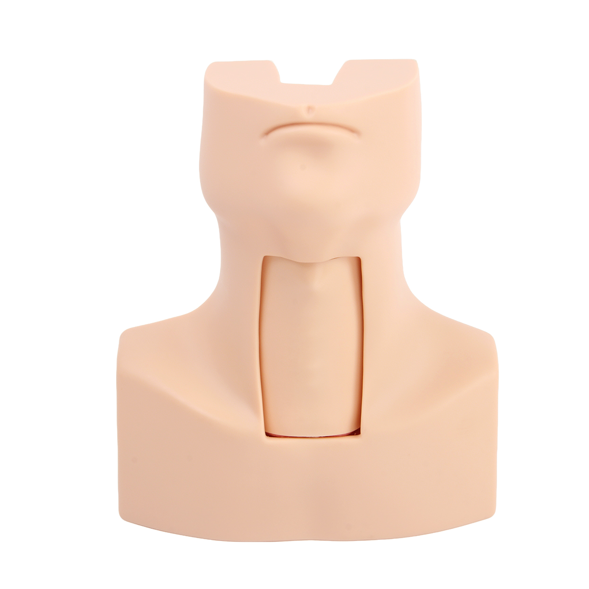 高級環（huán）甲膜穿刺及氣管切開插管訓（xùn）練模型（xíng）