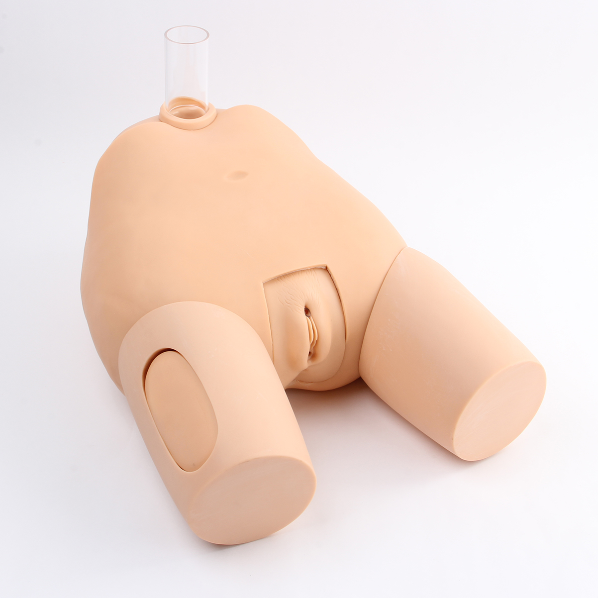 高級女性（xìng）膀胱穿刺模型