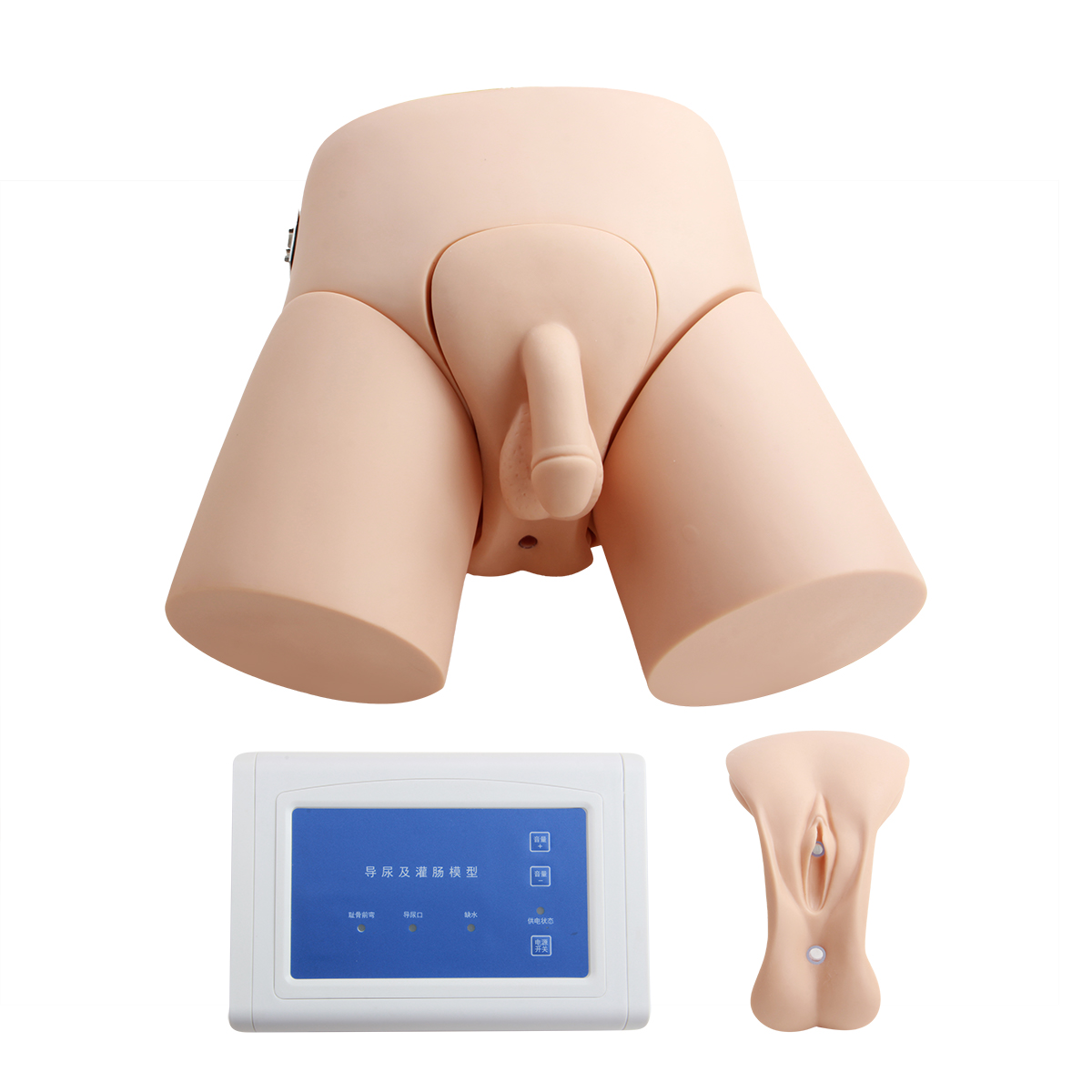 電子（zǐ）導尿及灌腸教學實（shí）習模型