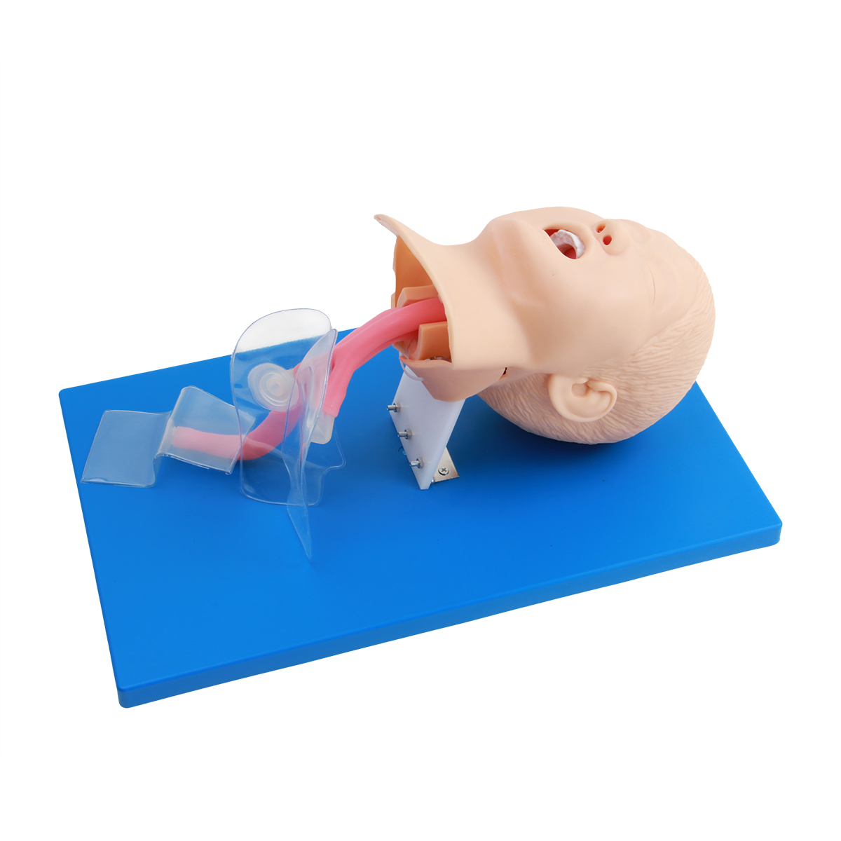 高級兒童氣管插管模型