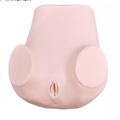 高級婦科訓（xùn）練模型