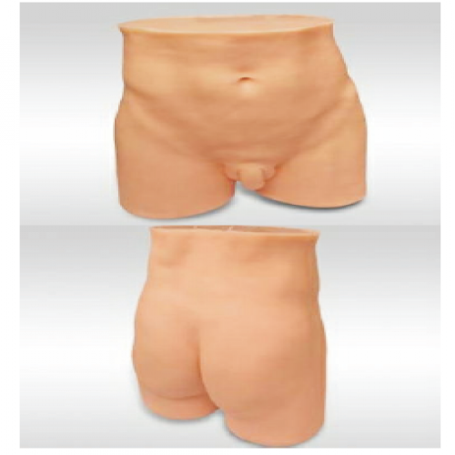 針灸（jiǔ）臀部訓練模型