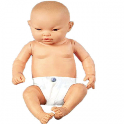 高級智能嬰兒（ér）模型