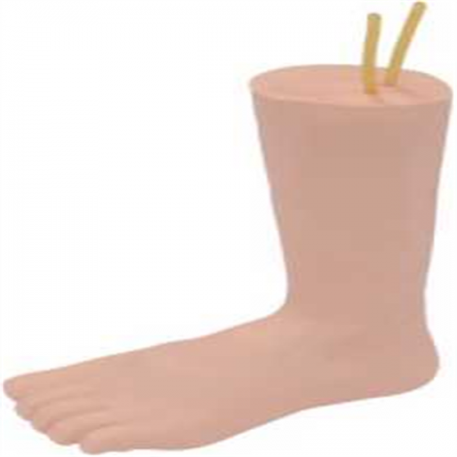  下肢（zhī）足部靜脈注射仿真模型H3018