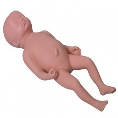 高級足月胎（tāi）兒模型