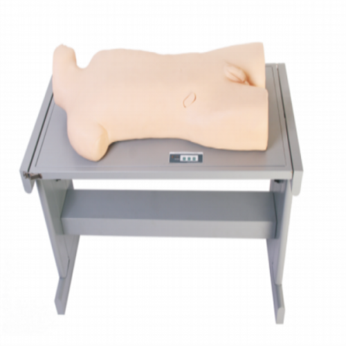 肝膿腫穿刺（cì）與胸腔穿刺訓練模型