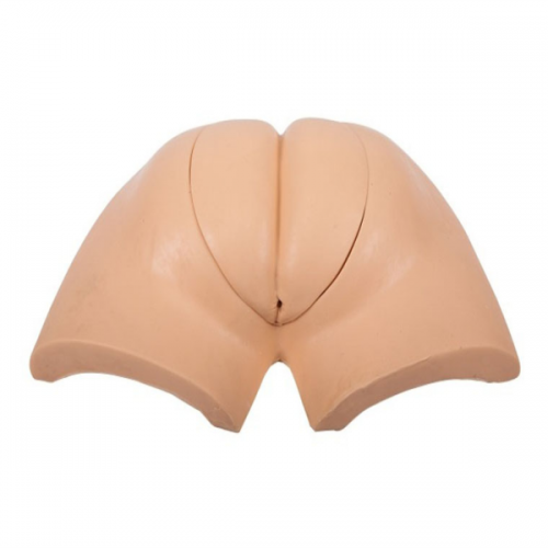 高級著裝式人工（gōng）取便訓練模（mó）型