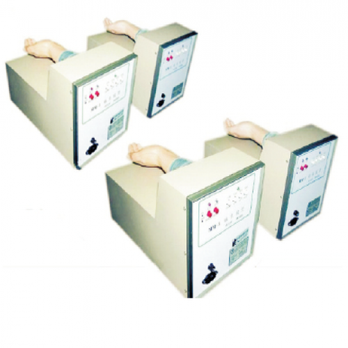 脈象模型（4台/套）