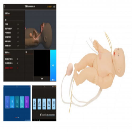 高（gāo）級新生兒複蘇插管護理模擬人