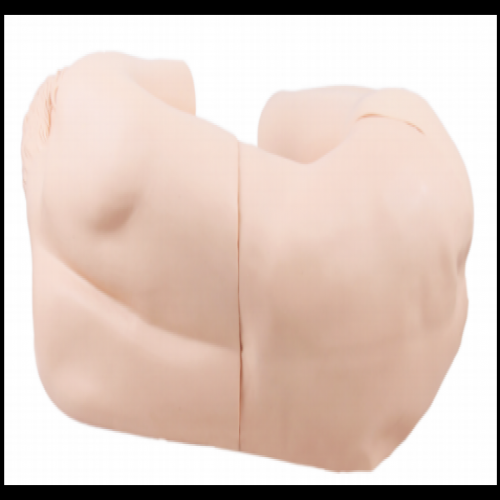 腰椎穿（chuān）刺訓練模型