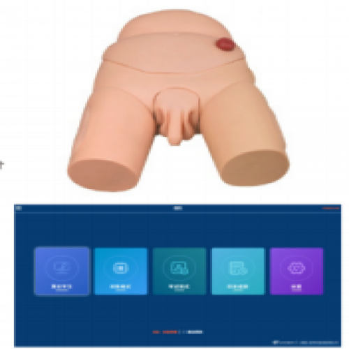 高級男性導尿模型（軟件（jiàn）版（bǎn））