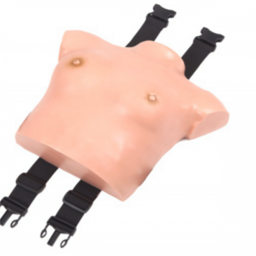 高級著裝式乳（rǔ）房自檢模型