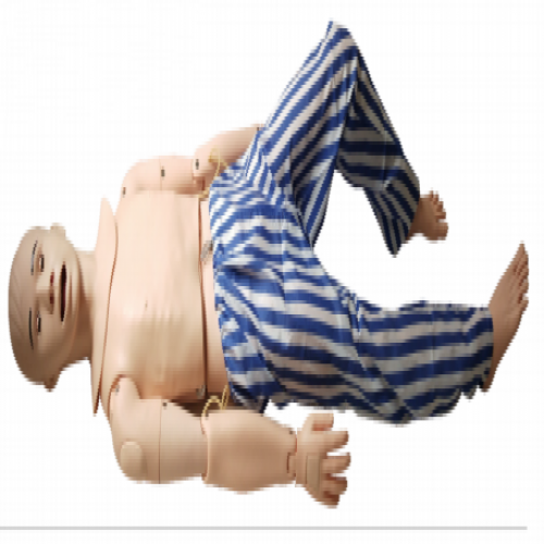 鼻胃管護（hù）理模擬人（rén）