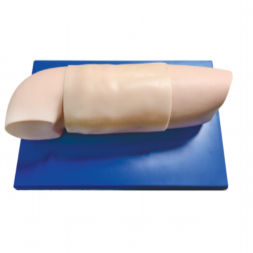 高（gāo）級（jí）皮下埋入避孕練習手臂模型