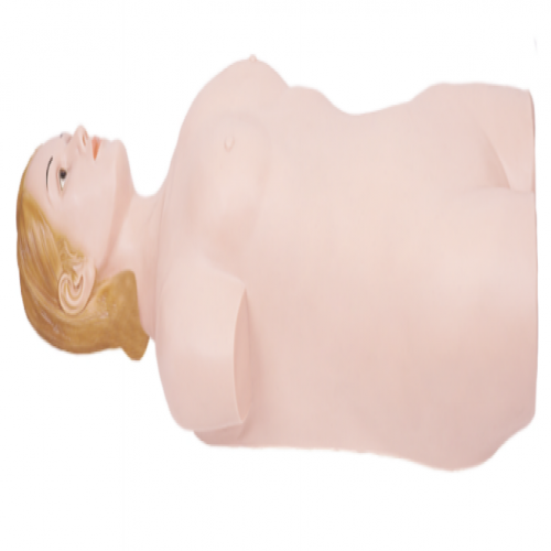 數字遙控式腹部觸診模擬人（單機版）