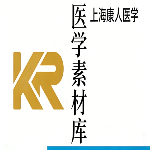 醫學（xué）素材庫