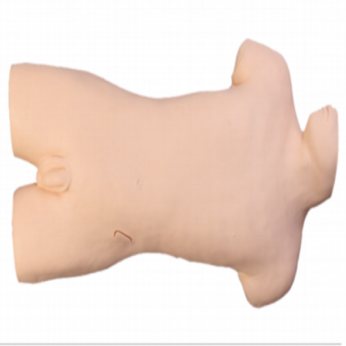 骨髓穿刺（cì）訓練模型