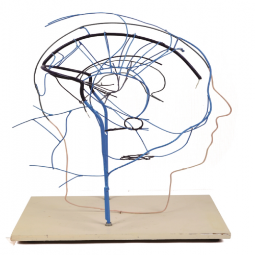 顱內外靜脈（mò）吻（wěn）合模（mó）型