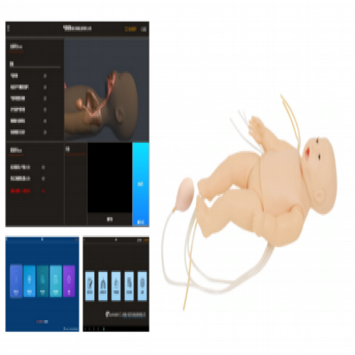 高級嬰兒複蘇插管護理模擬人