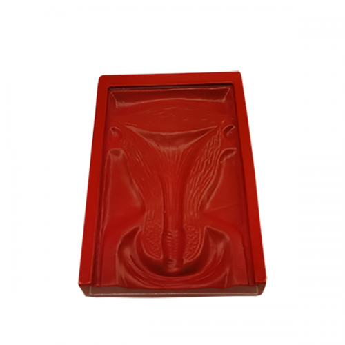 高級宮內避（bì）孕（yùn）器訓練模型