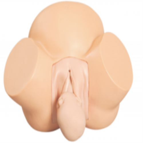 高級（jí）助產訓練模型