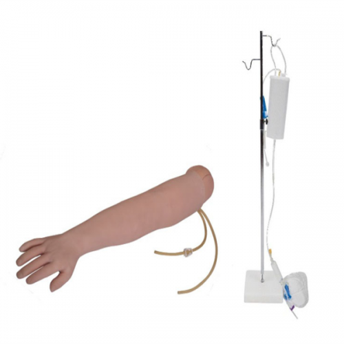 高級手臂靜脈穿刺及肌（jī）肉注（zhù）射訓練模型