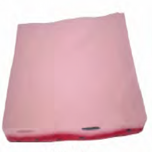 單層扁平（píng）上皮（pí）組（zǔ）織模型（xíng）