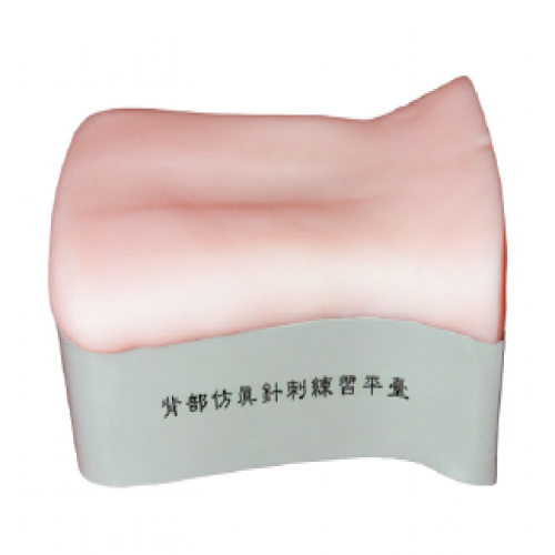 背部仿真針刺練習平台