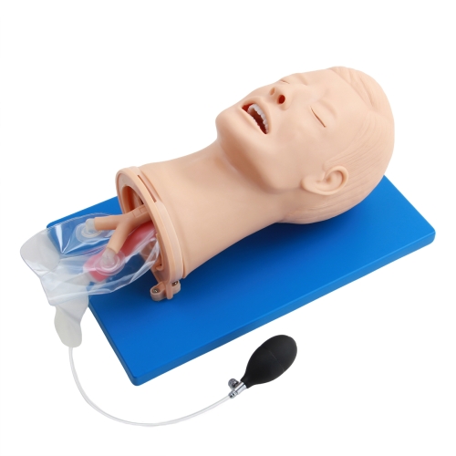 高級（jí）多功能氣道管理模型