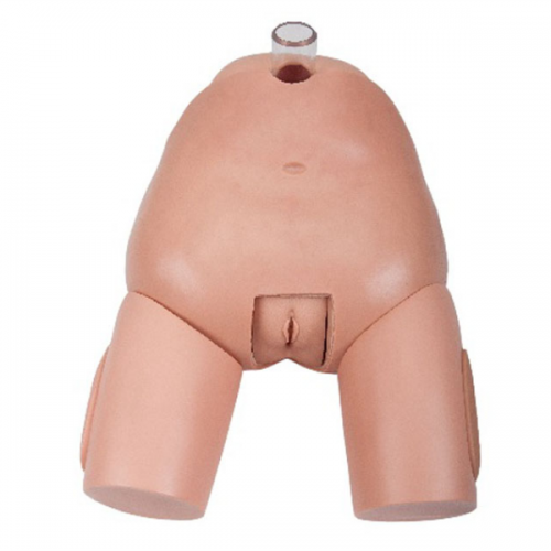 高（gāo）級女（nǚ）性膀胱穿刺模型