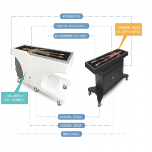 中醫經絡腧穴與3D虛擬解剖結合的教學平台