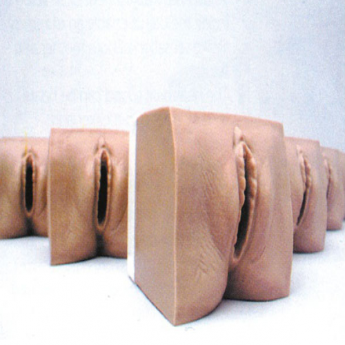 高級產前宮頸變化與產道關係模型