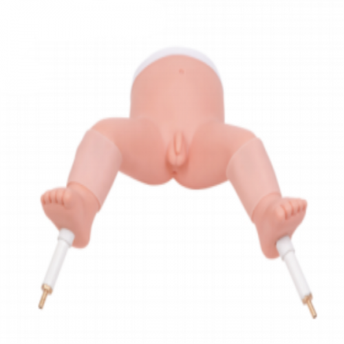 嬰兒骨（gǔ）髓穿刺模型