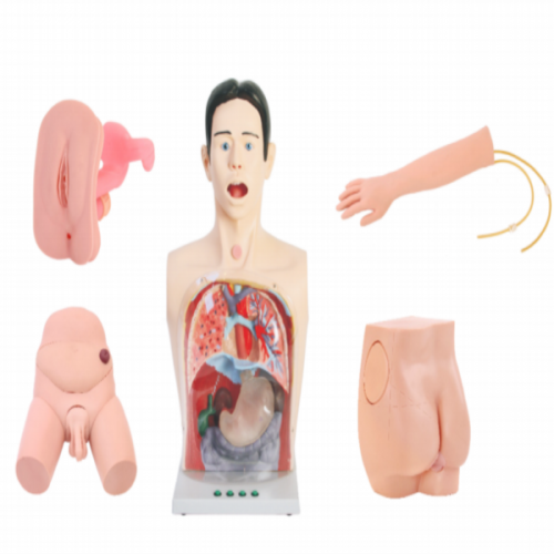 豪（háo）華型基礎（chǔ）護理模型