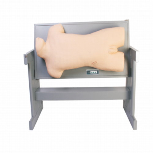 腹部移動性濁音叩診（zhěn）與腹腔穿刺訓練模型