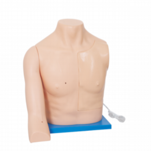 靜（jìng）脈介入訓練模型