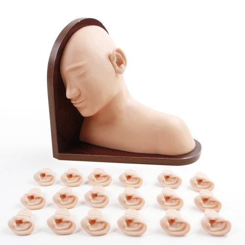 高級耳（ěr）部檢查模型