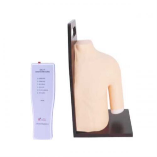 肩關節腔內注射模型