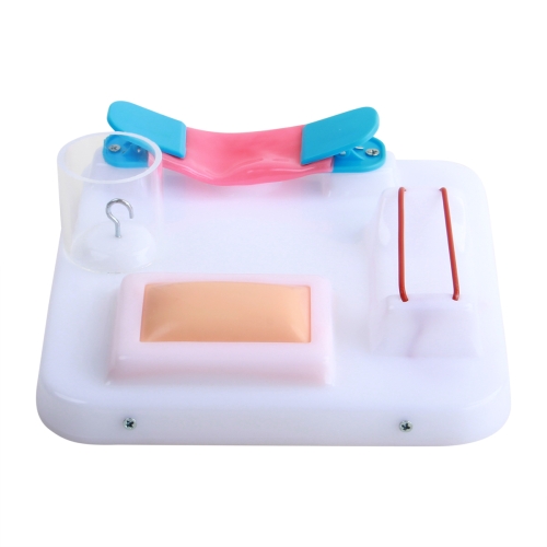 高級外（wài）科多技能訓練（liàn）模（mó）型